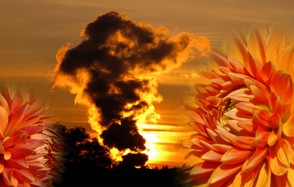 Bildquellenangabe: Joujou / pixelio.de