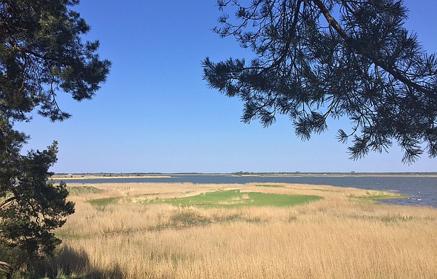 Boddengewässer mit typischer ...