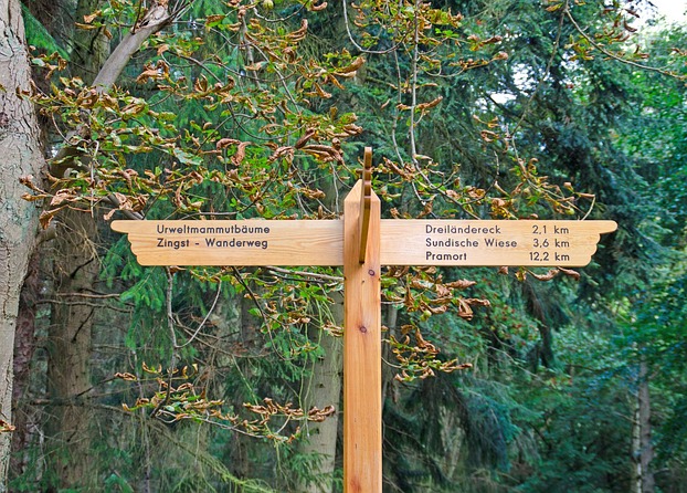 Wegweiser im Osterwald - nur ein ...