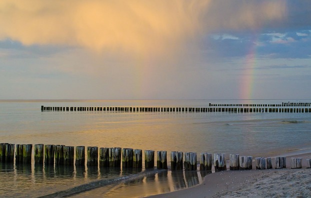 Das Bild entstand bei Regen, der am ...
