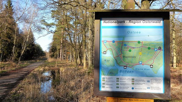 Wanderwege durch den Osterwald