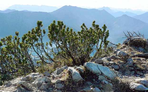 Bayern Großer-Traithen Bayrischzell Miesbach Chiemgau Tour